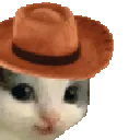 C_meowdy