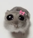Hamcute