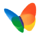 msn_flap