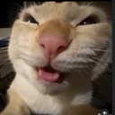 :mwehehehhe:
