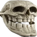 skull