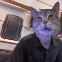 canigetuhhuhhhuhh