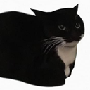 cat Discord emoji