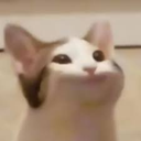 popcat Discord Emoji - Friends 18+ Sfw | Adults-only • active-chat • Mature • Friendly • Gaming • Lgbtq+ • Hangout