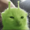 Alien_cat