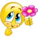 iruFlower