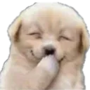 Hehe