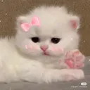 bby_anyaa_cutie