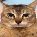 emoji_47