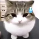 emote
