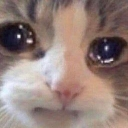 emoji_33 custom emote | Ngôi nhà chút chít ᥫᩣ