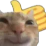 1499148007646695547