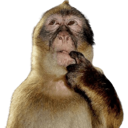 thinkmonkey Discord sticker | trans chompers