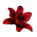 emoji_435
