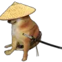 dogesamurai