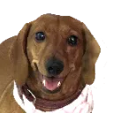 happemochi