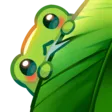 cnisanyPeekShy
