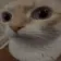 whylookingatme
