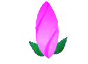 za_bloomingflower Discord emoji