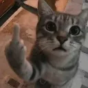 puchuk