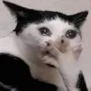wahhh