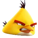 Chuck Chuck