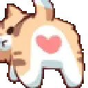 Cat_Butt