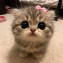 emoji_2 Discord Emoji - LateVibes