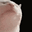 cat_jam