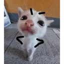 seethe