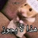 emoji_11 Discord Emoji - 𝑨𝑩𝒀𝑺𝑨𝑳 𝑩𝑨𝑺𝑻𝑰𝑶𝑵