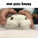 BunnyYes BunnyYes