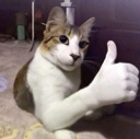 emoji_81 custom emote from Dex AM official