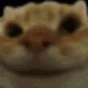 emoji_100 animated GIF emoji from Dex AM official