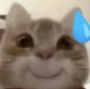 emoji_102 Discord sticker | Dex AM official