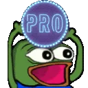pepePRO