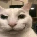 brocat