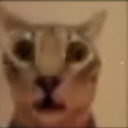 emoji_8 Discord sticker - Midnight Ahh Server