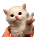 emoji_19