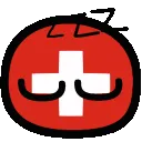 swiss_sleep