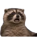 bruh