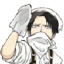 clean_levi