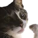 ragebaitfailed