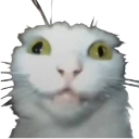 heh Discord Emoji | Brewish | Roblox Cafe Game