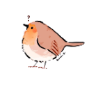 Birb custom emote - Brewish | Roblox Cafe Game