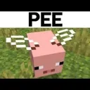 peegy