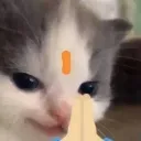 pranam