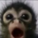 shock