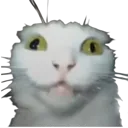 emoji_10