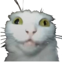 emoji_10 custom emote | Roblox Core